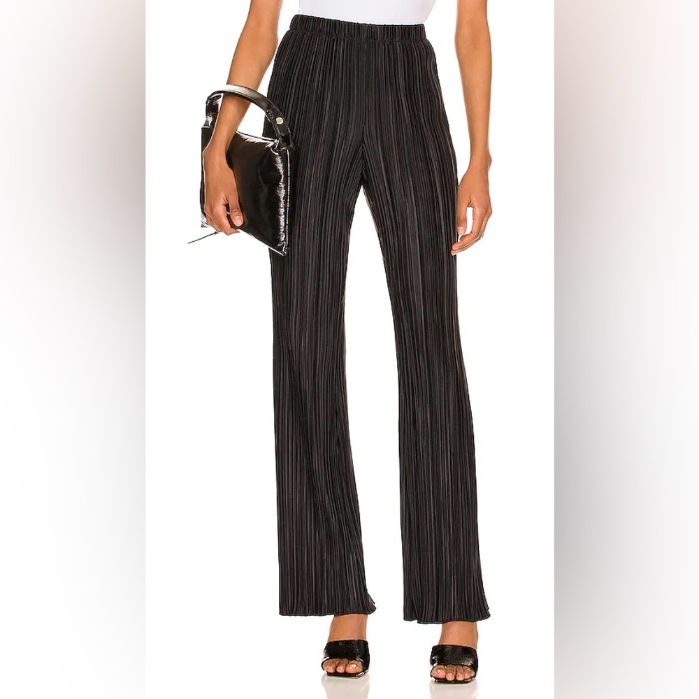 Anine Bing Billie Pants Size XS